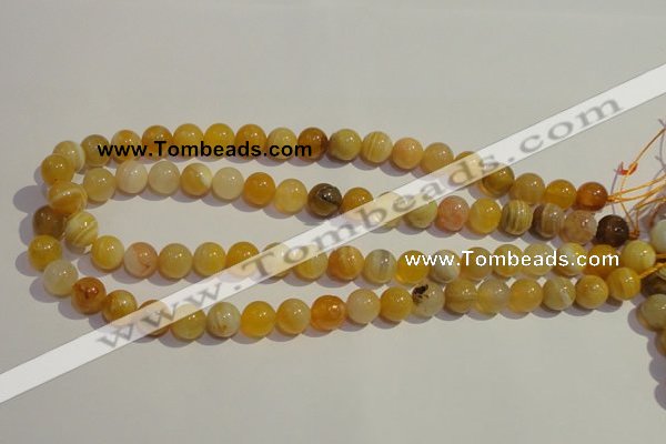 CAA90 15.5 inches 12mm round botswana agate gemstone beads