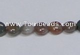 CAB448 15.5 inches 8mm flat round indian agate gemstone beads