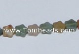 CAB458 15.5 inches 8*8mm star indian agate gemstone beads wholesale