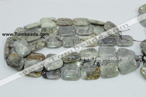 CAB88 15.5 inches 22*30mm rectangle silver needle agate gemstone beads