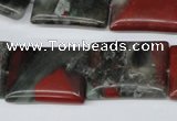 CAF02 15.5 inches 18*25mm rectangle African bloodstone beads