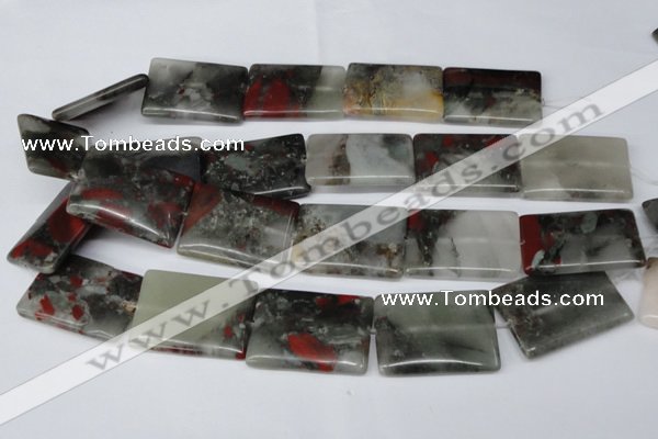 CAF03 15.5 inches 25*35mm rectangle African bloodstone beads