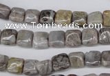 CAG1430 15.5 inches 8*8mm square silver needle agate beads