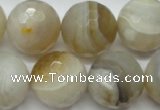 CAG1818 15.5 inches 20mm faceted round Chinese botswana agate beads