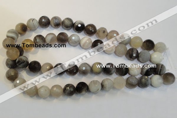 CAG2425 15.5 inches 14mm faceted round Chinese botswana agate beads