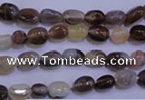 CAG2770 15.5 inches 6*8mm nuggets botswana agate beads wholesale