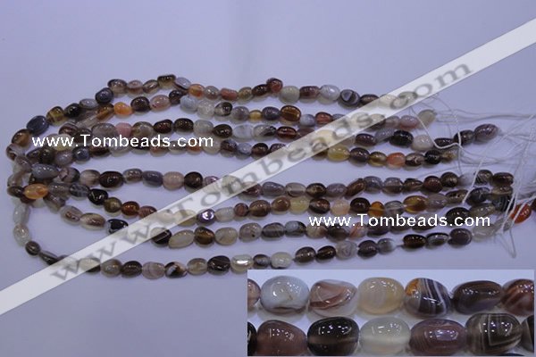 CAG2770 15.5 inches 6*8mm nuggets botswana agate beads wholesale