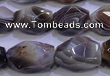 CAG2775 15.5 inches 14*20mm faceted nuggets botswana agate beads wholesale