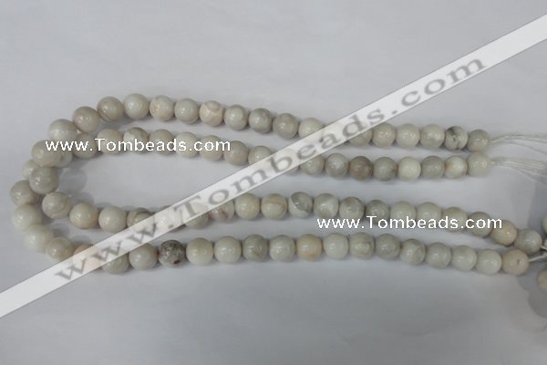 CAG3604 15.5 inches 10mm round natural crazy lace agate beads