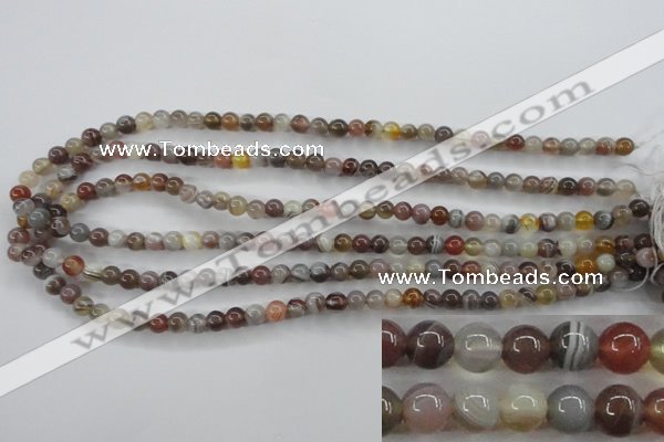 CAG3681 15.5 inches 6mm round botswana agate beads wholesale