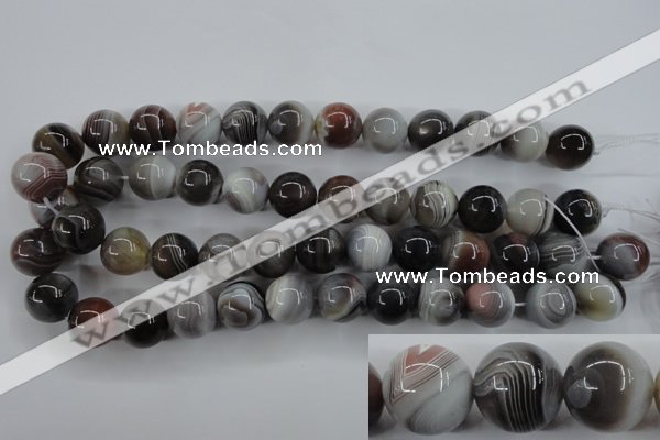 CAG3686 15.5 inches 16mm round botswana agate beads wholesale