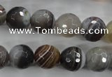 CAG3694 15.5 inches 12mm faceted round botswana agate beads wholesale