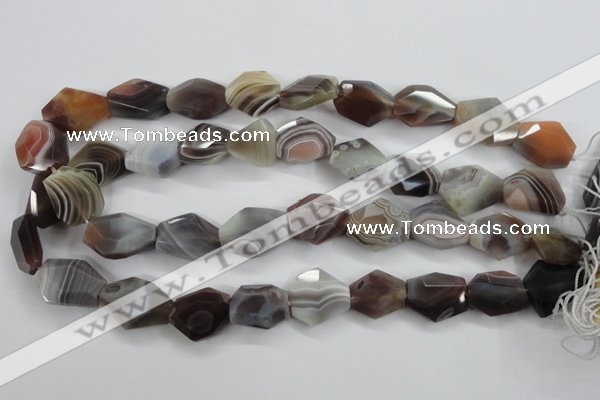 CAG3732 15*18mm – 20*23mm faceted freeform botswana agate beads