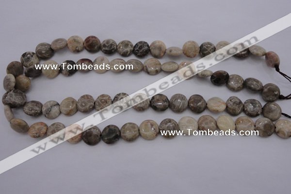 CAG3905 15.5 inches 12mm flat round chrysanthemum agate beads