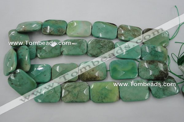 CAG3938 15.5 inches 22*30mm faceted rectangle green grass agate beads