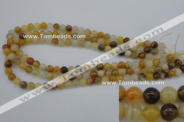 CAG4322 15.5 inches 8mm round botswana agate gemstone beads