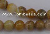 CAG4323 15.5 inches 10mm round botswana agate gemstone beads