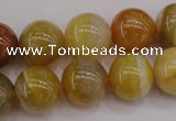 CAG4325 15.5 inches 14mm round botswana agate gemstone beads