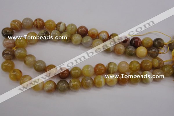 CAG4325 15.5 inches 14mm round botswana agate gemstone beads