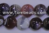 CAG4443 15.5 inches 14mm flat round botswana agate beads wholesale