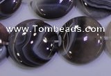 CAG4448 15.5 inches 25mm flat round botswana agate beads wholesale