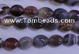 CAG4450 15.5 inches 8*10mm oval botswana agate beads wholesale