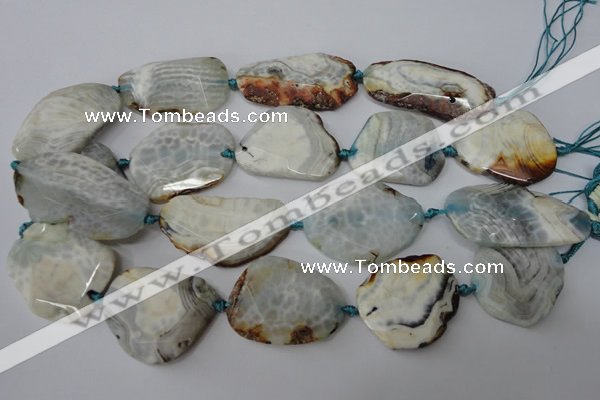 CAG5536 15.5 inches 25*30mm - 25*48mm freeform agate gemstone beads