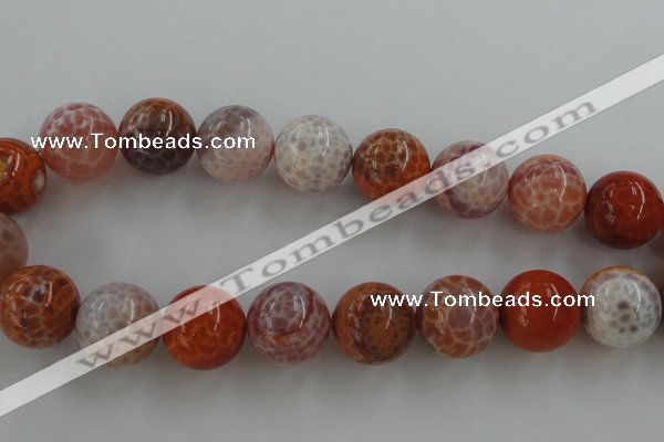 CAG5568 15.5 inches 20mm round natural fire agate beads wholesale