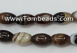 CAG5911 15 inches 8*12mm rice Madagascar agate gemstone beads