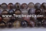 CAG5951 15.5 inches 6mm round botswana agate beads wholesale