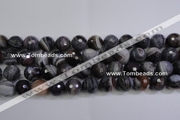 CAG5965 15.5 inches 16mm faceted round botswana agate beads wholesale