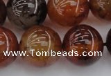 CAG6051 15.5 inches 20mm round dragon veins agate beads