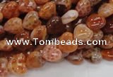 CAG627 15.5 inches 8*8mm heart natural fire agate beads wholesale