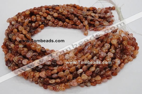 CAG627 15.5 inches 8*8mm heart natural fire agate beads wholesale