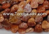 CAG628 15.5 inches 10*10mm heart natural fire agate beads wholesale