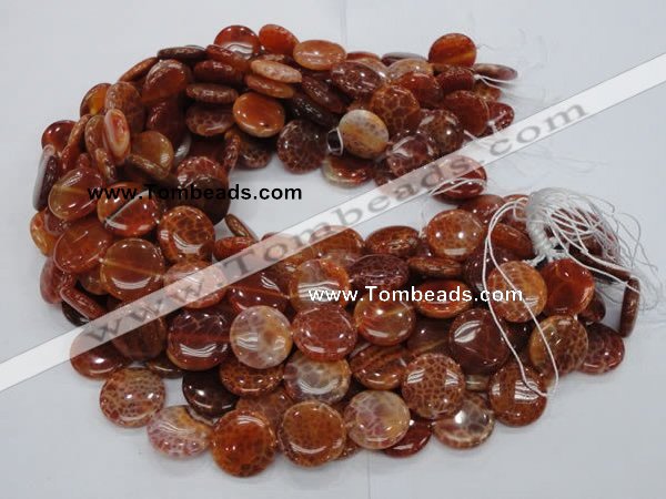 CAG631 15.5 inches 14mm coin natural fire agate beads wholesale