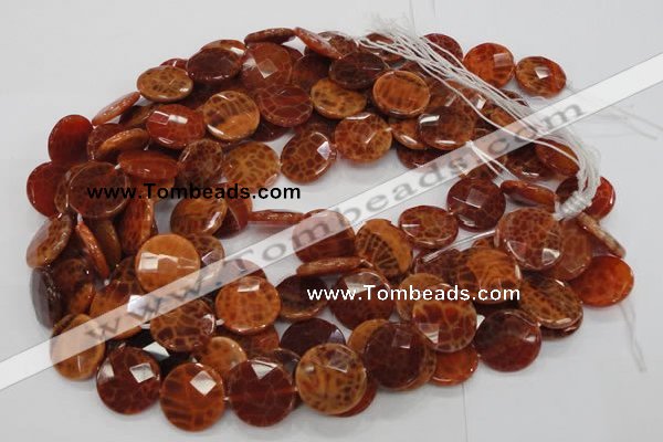 CAG639 15.5 inches 20mm faceted coin natural fire agate beads