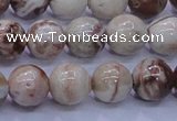 CAG6662 15.5 inches 8mm round Mexican crazy lace agate beads