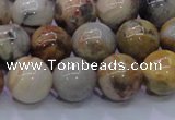 CAG6673 15.5 inches 10mm round natural crazy lace agate beads