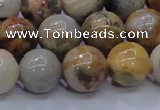 CAG6674 15.5 inches 12mm round natural crazy lace agate beads