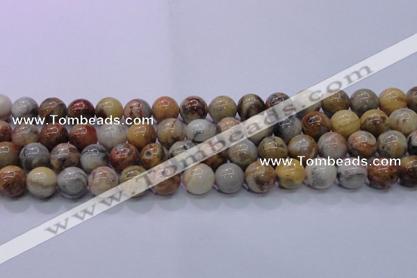 CAG6674 15.5 inches 12mm round natural crazy lace agate beads