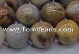 CAG6676 15.5 inches 16mm round natural crazy lace agate beads