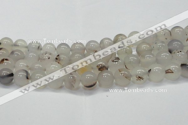 CAG6762 15 inches 10mm round Montana agate beads wholesale