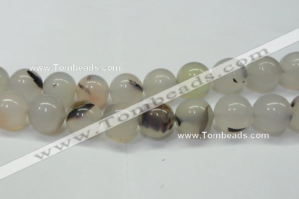 CAG6765 15 inches 16mm round Montana agate beads wholesale