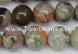 CAG7005 15.5 inches 14mm round ocean agate gemstone beads