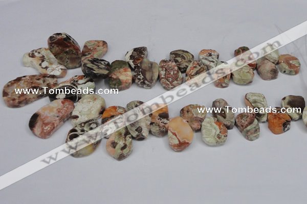 CAG7051 Top drilled 15*20mm - 25*35mm freeform ocean agate beads