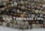CAG734 15.5 inches 4mm round botswana agate beads wholesale