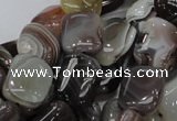 CAG737 15.5 inches 10*14mm rectangle botswana agate beads wholesale