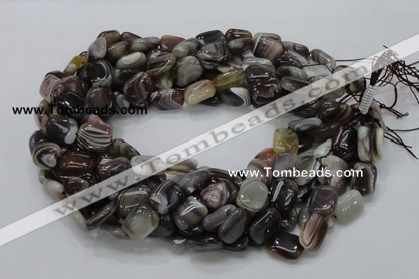 CAG737 15.5 inches 10*14mm rectangle botswana agate beads wholesale