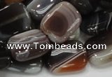 CAG739 15.5 inches 14*18mm rectangle botswana agate beads wholesale